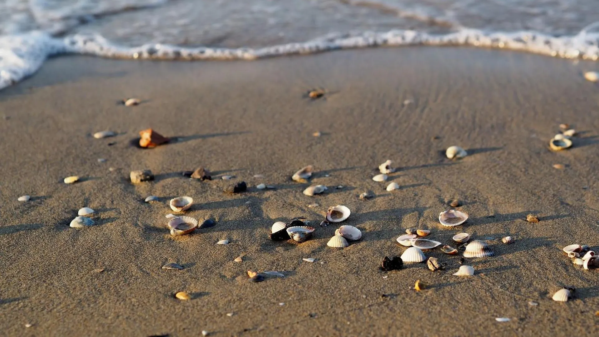 Comfy Accommodation 80M From Bibione Beach Italien